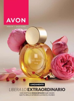 Revista Avon Ciclo 14 2025